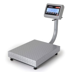 Báscula de Recibo Torrey EQB-100 Construida en Acero